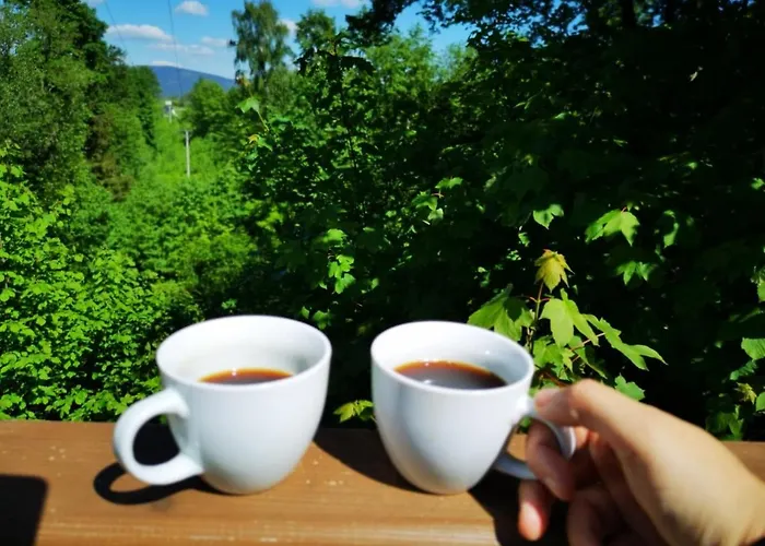 Apartment Blizej Chmur Dolny Karpacz